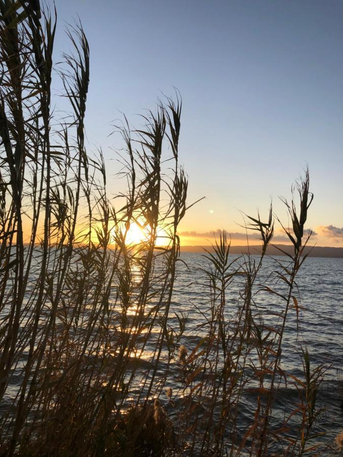 B&B Anna Bolsena Eksteriør billede