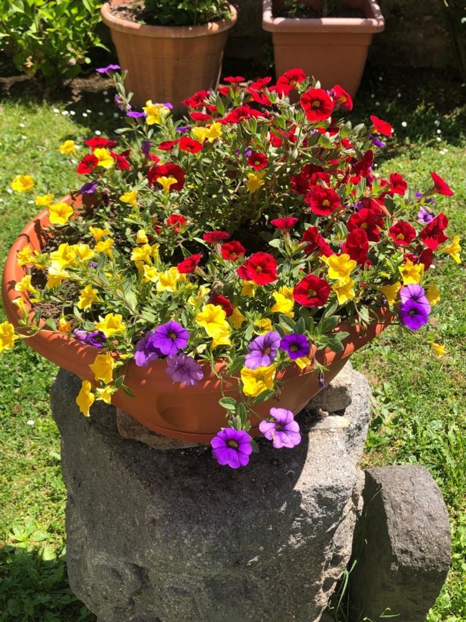 B&B Anna Bolsena Eksteriør billede